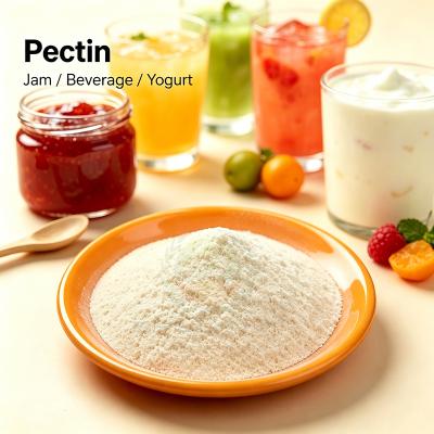 CAS No.:9000-69-5 E440 Pectin 