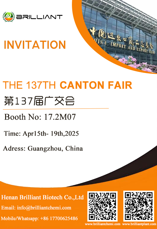 137 invitation.jpg