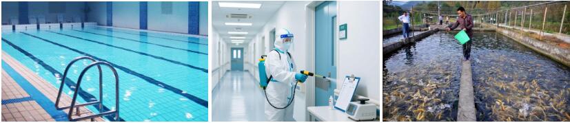 1774516467622732.jpg BCDMH 2.jpg